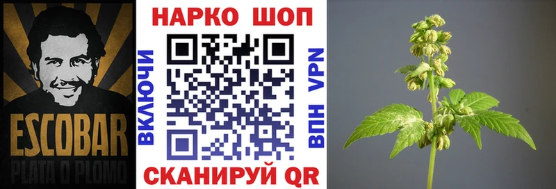 Виды наркоты Краснодар ссылка на мегу tor  КОКАИН  Амфетамин  Кетамин  Мефедрон  Бошки Шишки 