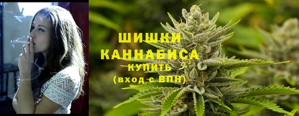 apvp Заводоуковск