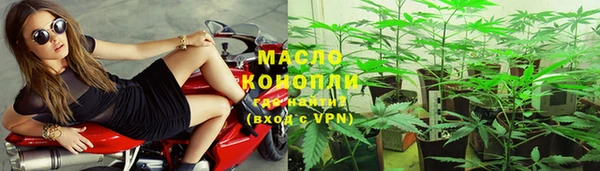 дмт Туринск