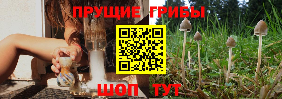 Краснодар  Галлюциногенные грибы ЛСД  Псилоцибиновые грибы ЛСД  Вход с VPN 